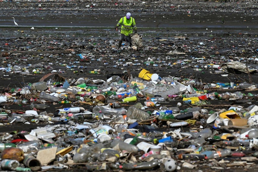 A man collects garbage, including plastic waste, at the beach of Costa del Este, in Panama City, on 19 April (AFP via Getty Images)