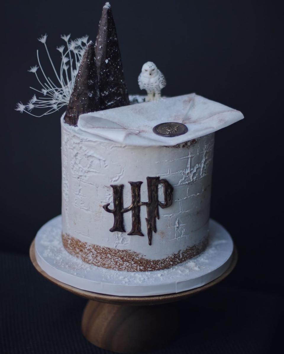 Wintery HP Cake