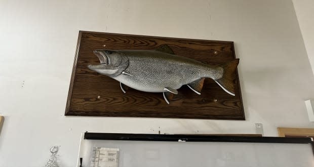 U.S. fisher's lake trout catch poses challenge to record set in