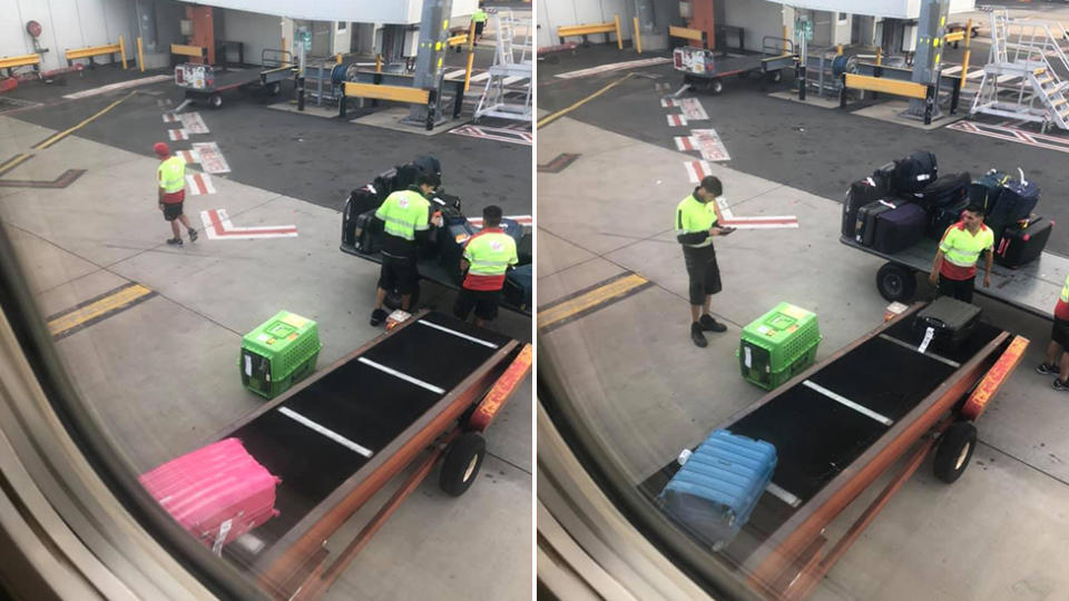 A woman has slammed Virgin Australia for leaving a dog boarding a flight on the tarmac on a hot day. Source: Facebook