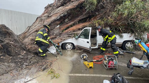 PHOTO: Alameda County firefighters at the scene of a truck crushed by a fallen tree after storms passed through northern California, March 21, 2023, in Newark, Calif. (Alameda County Fire)