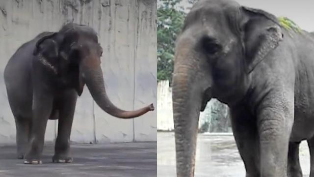 Drunk Elephant Is Now In Manila. This Is Why It's A Big Deal!