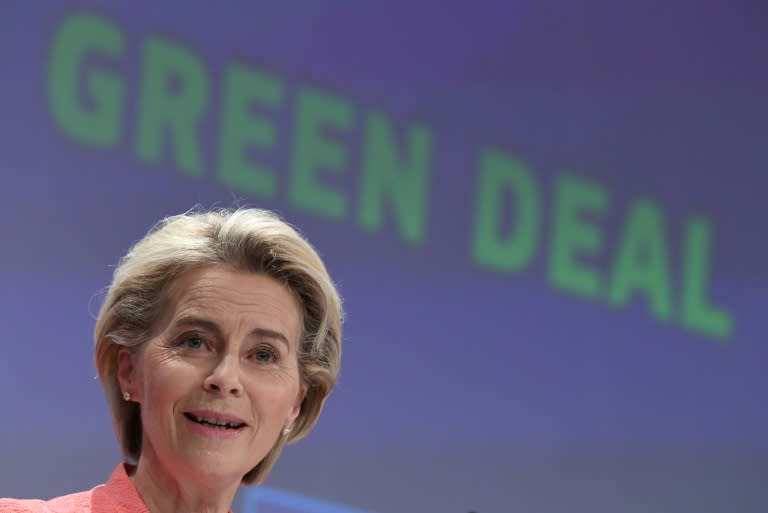 The EU's Green Deal is a key project of European Commission President Ursula von der Leyen (JOHN THYS)