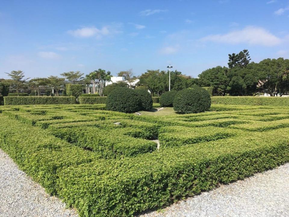 新生園區充滿樹蘭清香的迷宮花園（圖片來源：臺北市政府工務局公園路燈工程管理處）