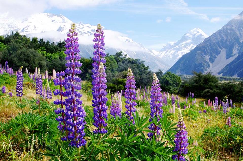 庫克山（Image Source : Getty Creative）