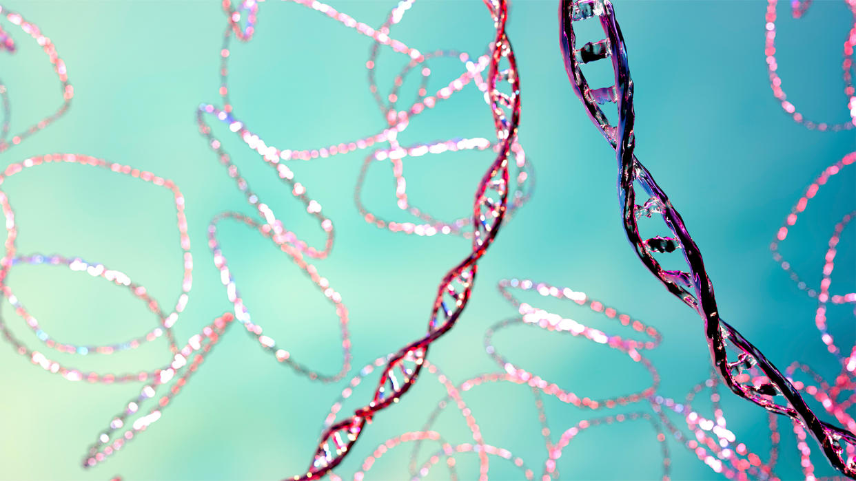  Computer illustration of plasmids, meaning small, circular, double stranded DNA molecules . 