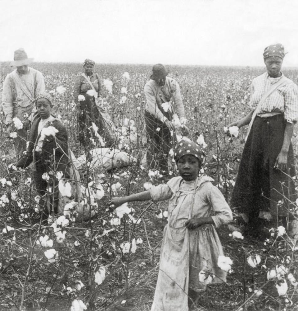 Black sharecroppers, picking cotton in Texas