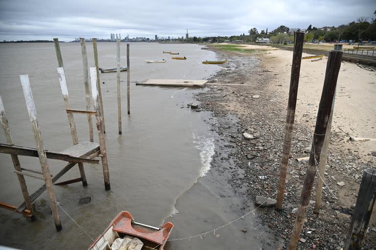 Un informe advierte sobre la acumulación de vegetación seca en las Islas, así como una disminución de la cobertura de agua en ese humedal