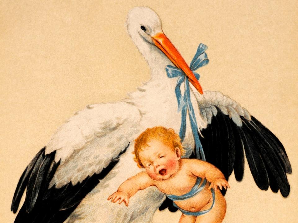 An illustration of a newborn baby and a stork holding it.