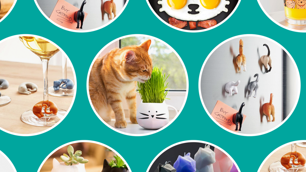 cat lover gifts best 2019