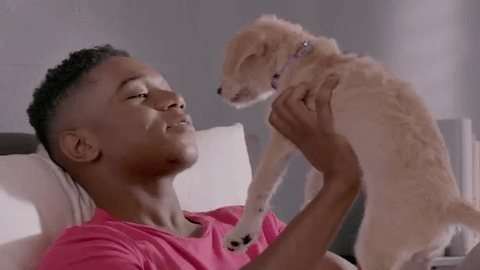 Puppy Love Kiss GIF by SoulPancake - Find & Share on GIPHY