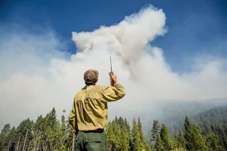 Brian Brennan of the Idaho City Hotshots watches the King Fire burn near Fresh Pond, California September 17, 2014. REUTERS/Noah Berger