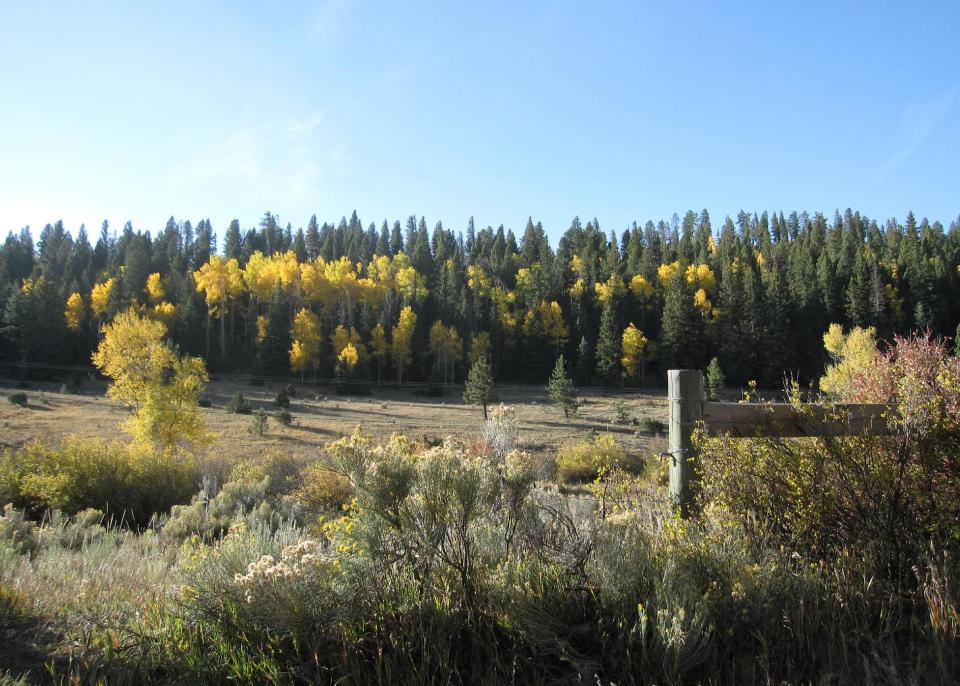 This Oct. 3, 2012 photo shows fall color along the 85-mile loop in Northern New Mexico known as the Enchanted Circle. Visitors can head out from Taos and take in scenery from Kit Carson National Forest, the Sangre de Cristo mountain range and the Moreno Valley, along with towns like Questa, Red River, Angel Fire and Eagle Nest. The region’s aspen trees turn golden for about two weeks, and while the timing can vary, the color usually peaks around the end of September or first week in October. (AP Photo/Beth J. Harpaz)