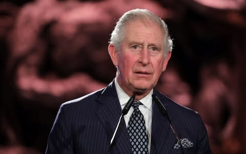 Prince Charles delivers a speech during the Fifth World Holocaust Forum  - Credit: &nbsp;AFP