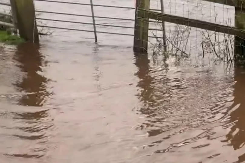 The high water levels at the time of the worst recent flooding -Credit:Woodfield Animal Sanctuary