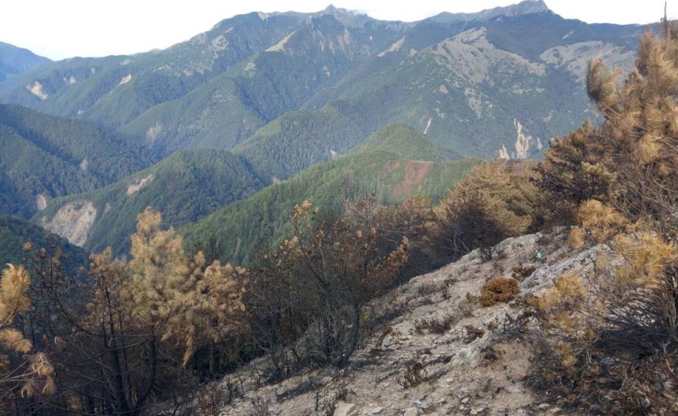玉山森林大火延燒12天 林務局：今天早上終於滅了。（彬務局提供）

