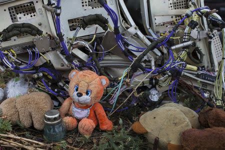 A teaddy bear is placed next to wreckage at the site of the downed Malaysia Airlines flight MH17, near the village of Hrabove (Grabovo) in Donetsk region, eastern Ukraine September 9, 2014. REUTERS/Marko Djurica