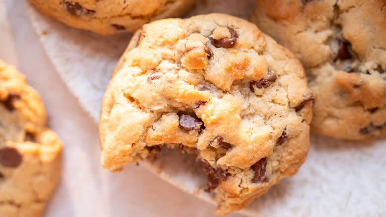 bite of chocolate chip cookie