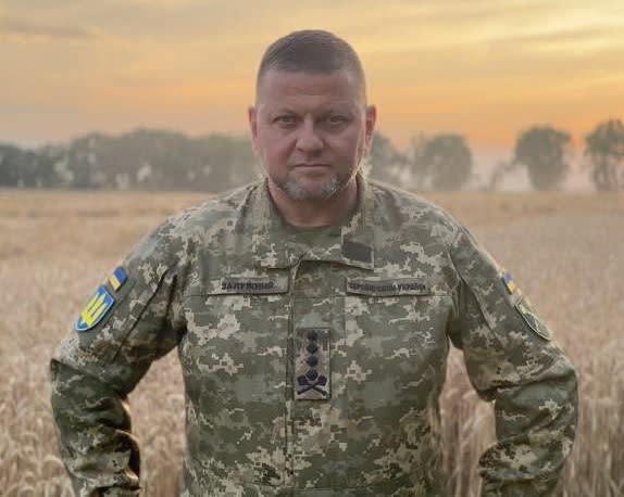 烏克蘭前武裝部隊總司令扎盧茲尼獲任命為基輔駐英國大使。(圖：扎盧茲尼臉書)