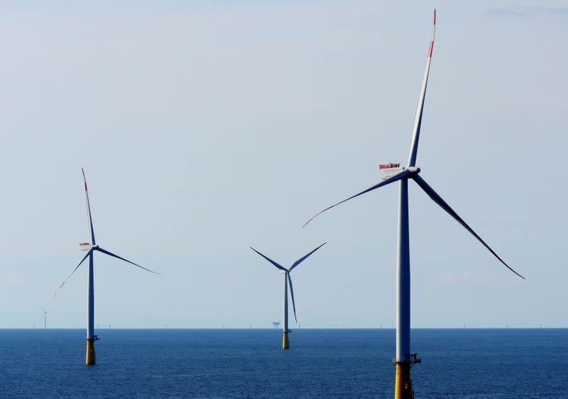FILE PHOTO: A general view of the DanTysk wind farm, 90 kilometres west of Esbjerg