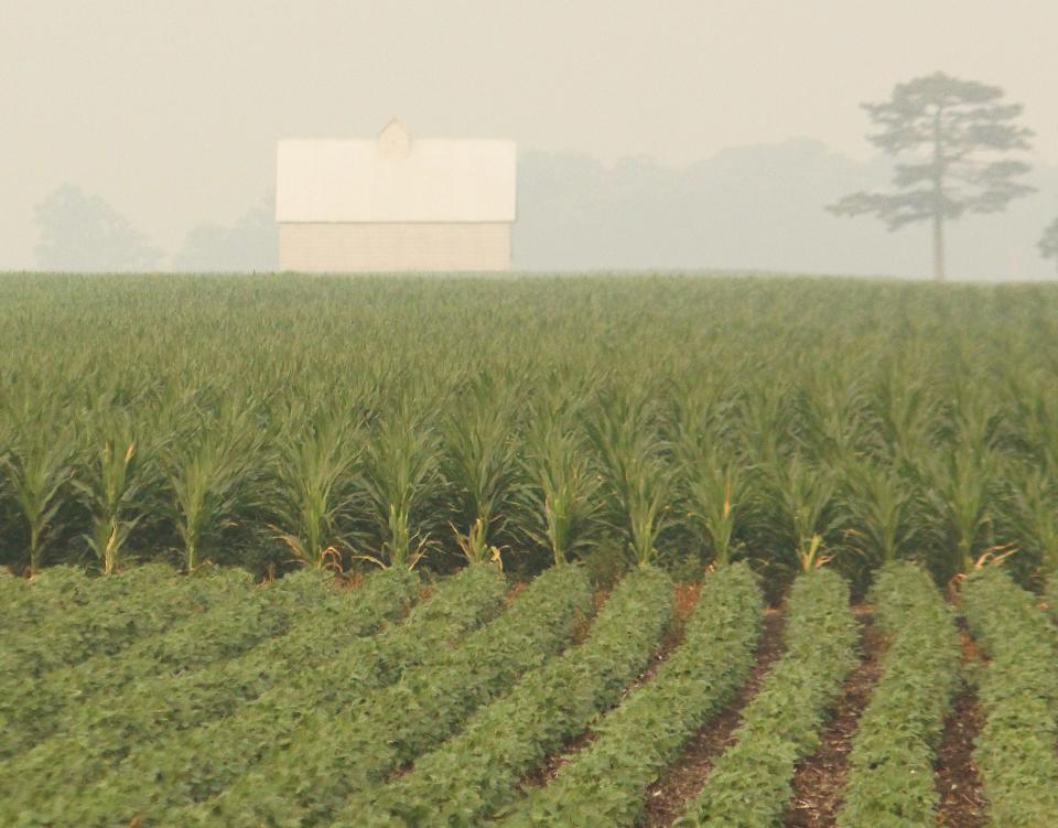 The haze from a lack of moisture and smoke from wildfires in Canada covered Livingston County and much of the northern part of Illinois this week. The lack of moisture has also created severe drought conditions in Livingston County.