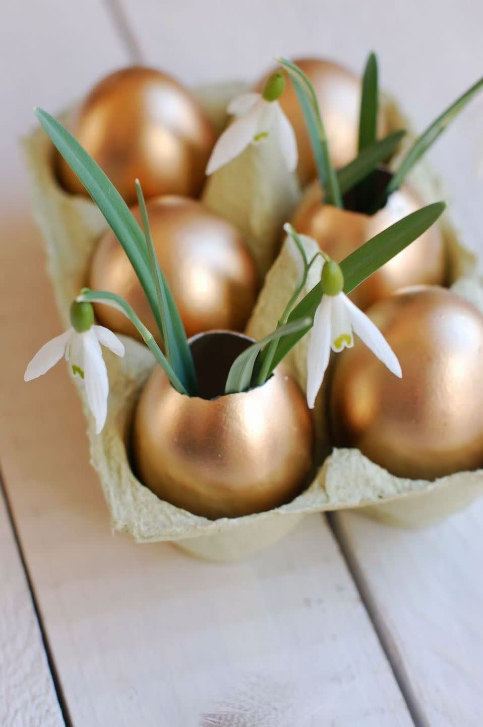 Golden Eggs