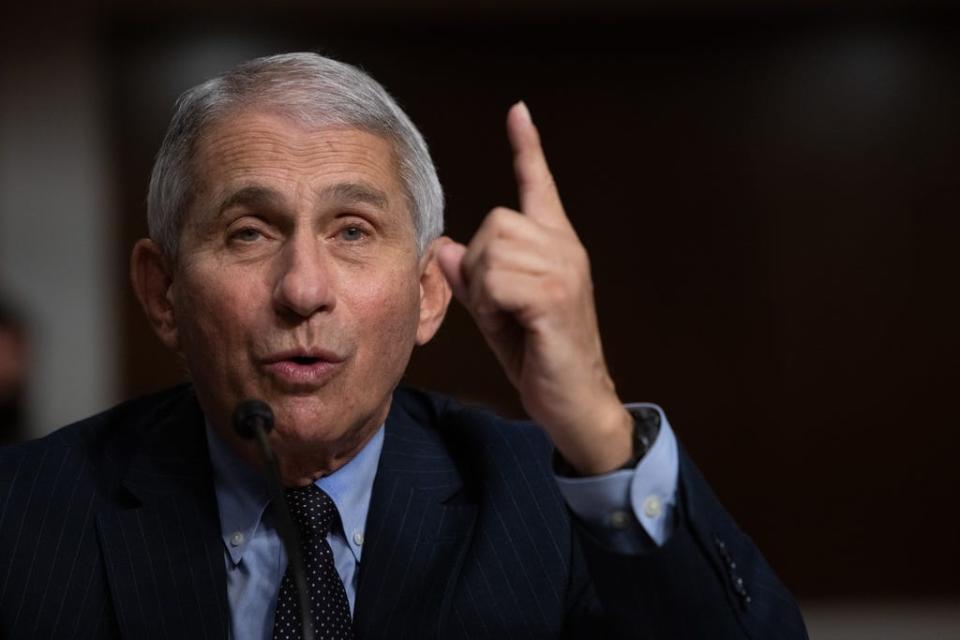 WASHINGTON, DC - SEPTEMBER 23:  Anthony Fauci, director of National Institute of Allergy and Infectious Diseases at NIH, testifies at a Senate Health, Education, and Labor and Pensions Committee on Capitol Hill,  on September 23, 2020 in Washington, DC.