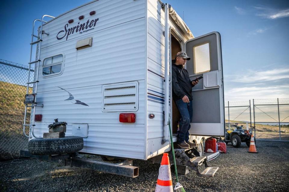 Luis Yauri Oyola looks at his company phone as he ends his day in American Canyon on June 13. He lives in a camping trailer on site, where he can respond to the needs of the sheep herd at any time of day.