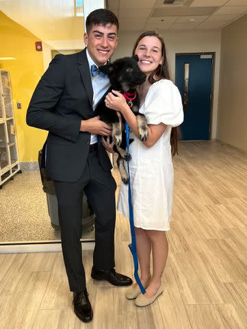 <p>Rebecca Cavedon</p> Eduardo and Regan Del Pozo with their newly adopted dog, Daisy the German shepherd puppy