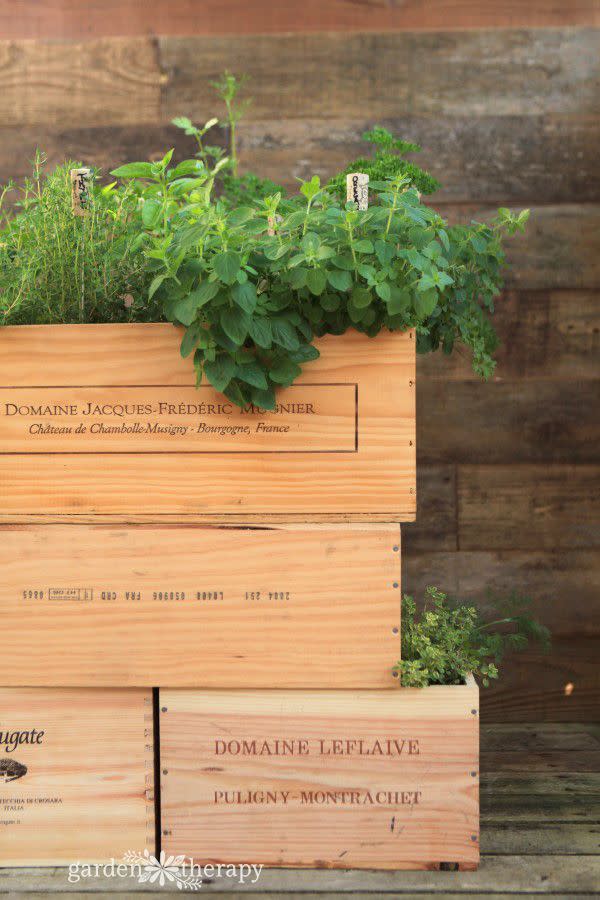 herb garden ideas wine box