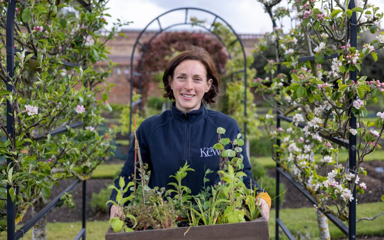 Helena Dove is in charge of the vegetable garden at Kew - Heathcliff O'Malley