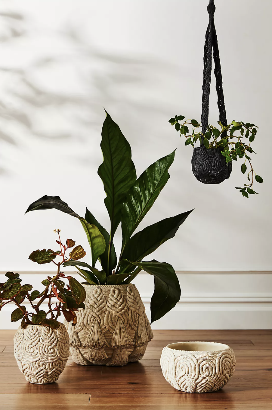 Yoko Textured Pot (photo via Anthropologie)