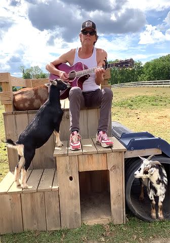 Kevin Bacon/instagram Kevin Bacon playing guitar for his goats