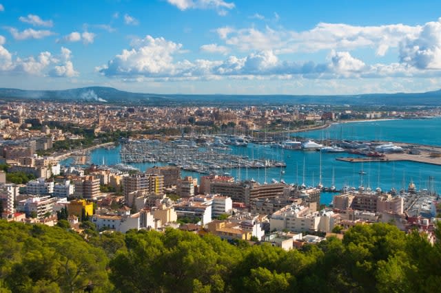 The City Palma de Majorca from a bird's eye view