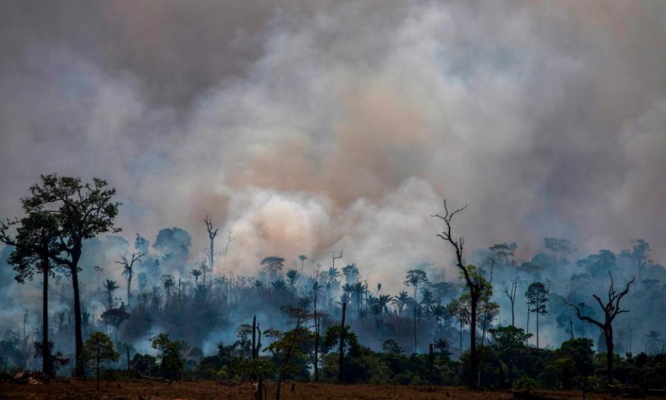 Smoke rises from forest fires