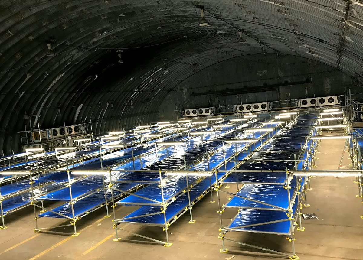 Chilling images and footage shows shelves ready to hold bodies of adult and child coronavirus victims in a temporary morgue erected at an Oxfordshire military base (SWNS)