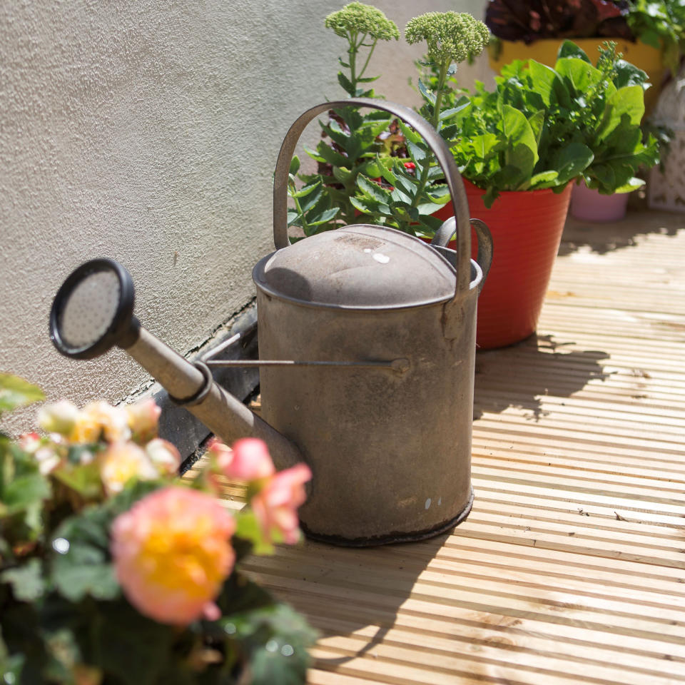 Closeup of watering can and plants on wooden decking of garden