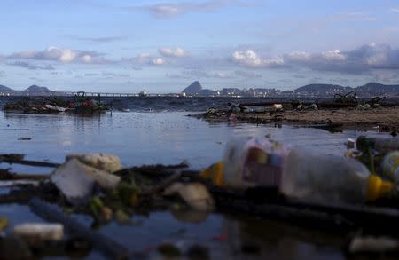 Rubbish is pictured at Bica beach, on the banks of the Guanabara Bay, with the Sugar Loaf mountain in background, 500 days ahead the Rio 2016 Olympic Games in Rio de Janeiro March 24, 2015. REUTERS/Ricardo Moraes