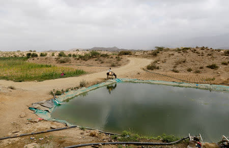 A boy rides on the back of a donkey as he collects water from a pond near the al-Jaraib village in the northwestern province of Hajjah, Yemen, February 17, 2019. In water-scarce Yemen, with many parts of the country needing pumps to bring water to the surface, water prices have increased dramatically under years of fuel shortages. In al-Jaraib, well water is available for free. Those who can afford to buy water from tankers which fill up from a pond 7 km from the village. REUTERS/Khaled Abdullah