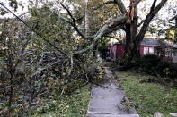 A large tree limb, which snapped as Hurricane Zeta moved through New Orleans, rests on power lines in the city's Carrollton neighborhood on Thursday, Oct. 29, 2020. (AP Photo/Kevin McGill)