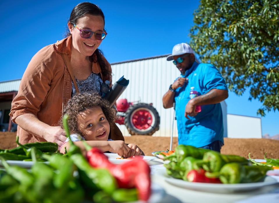 Malisa Days, who is the Vice President at EDCO Food Products, watches as her daughter, Renée, 2, attempts to cut a Numex Easter Pepper with an acorn during the 25th International Pepper Conference at Curry Farms in Pearce, Arizona on Tuesday, Sept. 27, 2022. The Days family, including Malisa's husband T.J., right, came to the conference because they've known Ed Curry for a while and have been working with him to make a hot ugly jalapenos, which have the same taste a regular jalapenos but have stress marks and as such are less pretty.