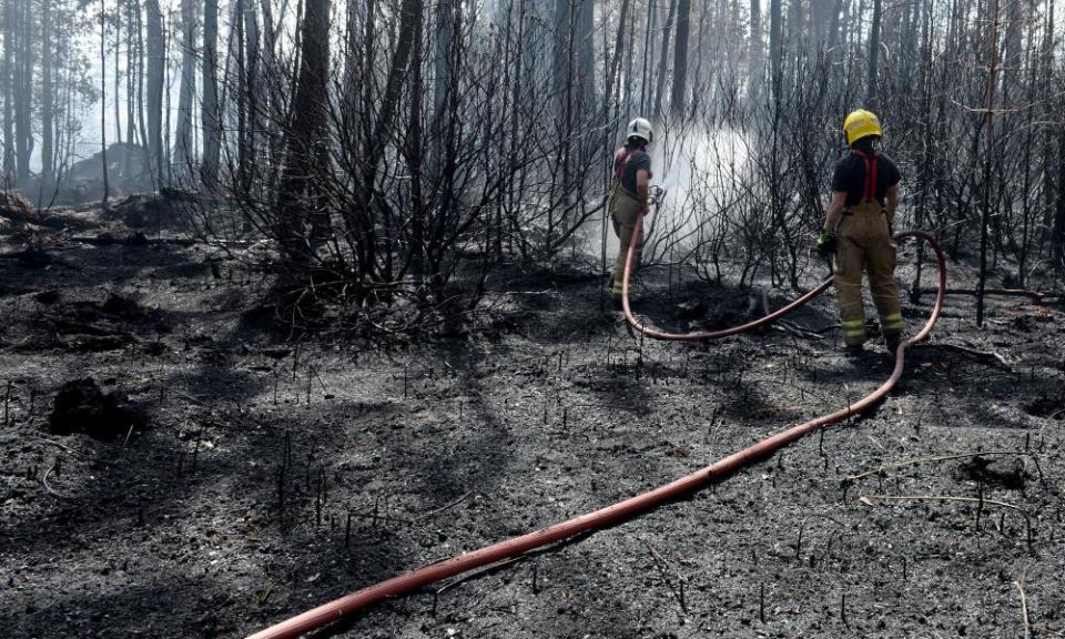 Firefighters battle blaze in Wareham Forest