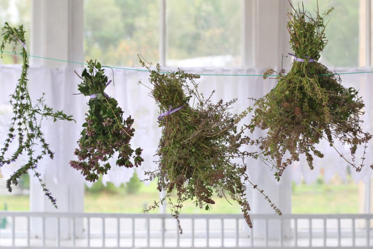 Herbs drying