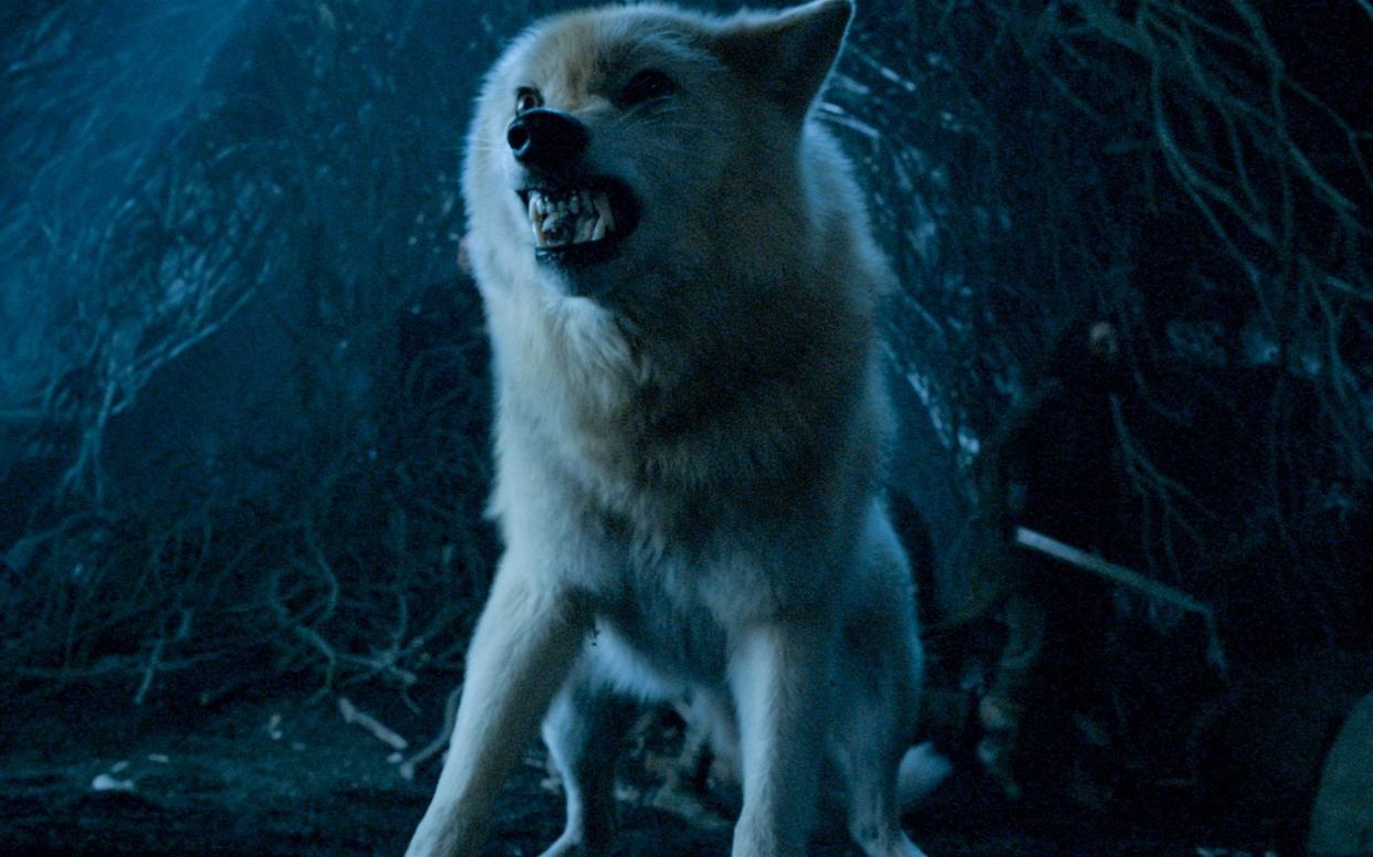 Direwolves: the understated stars of season eight - HBO