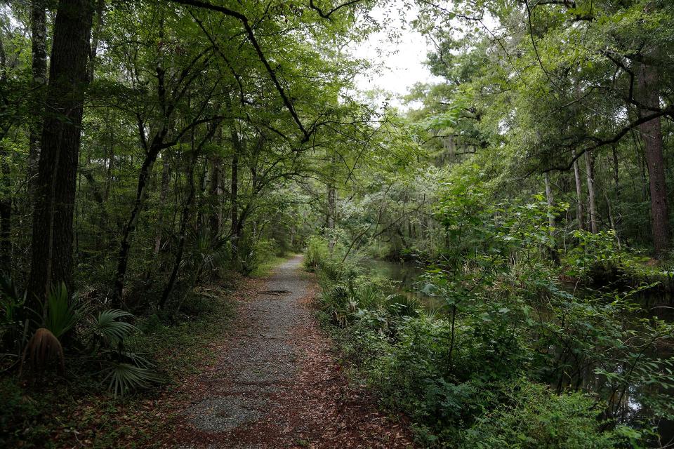 A walking trail runs alongside the Savannah-Ogeechee Canal.