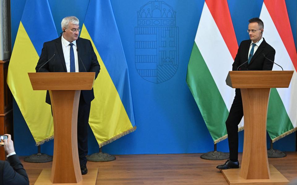 The foreign ministers address a joint press conference at the foreign office in Budapest (AFP via Getty Images)