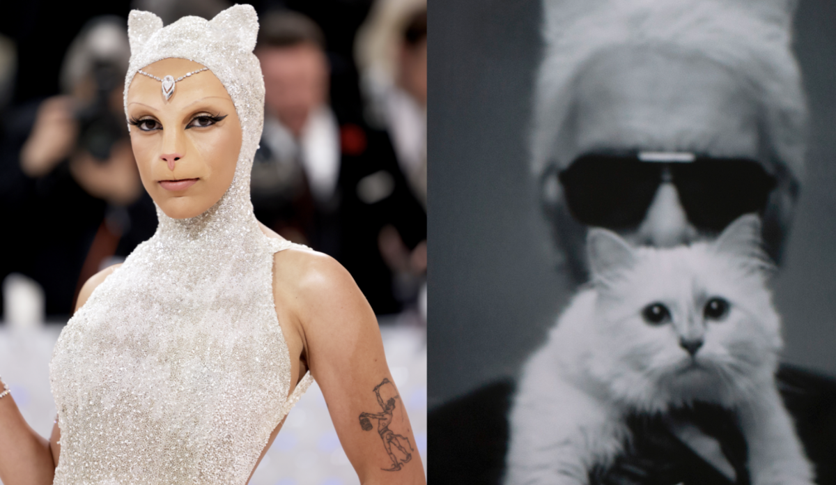 Doja Cat dresses up as Karl Lagerfeld's cat for Met Gala debut