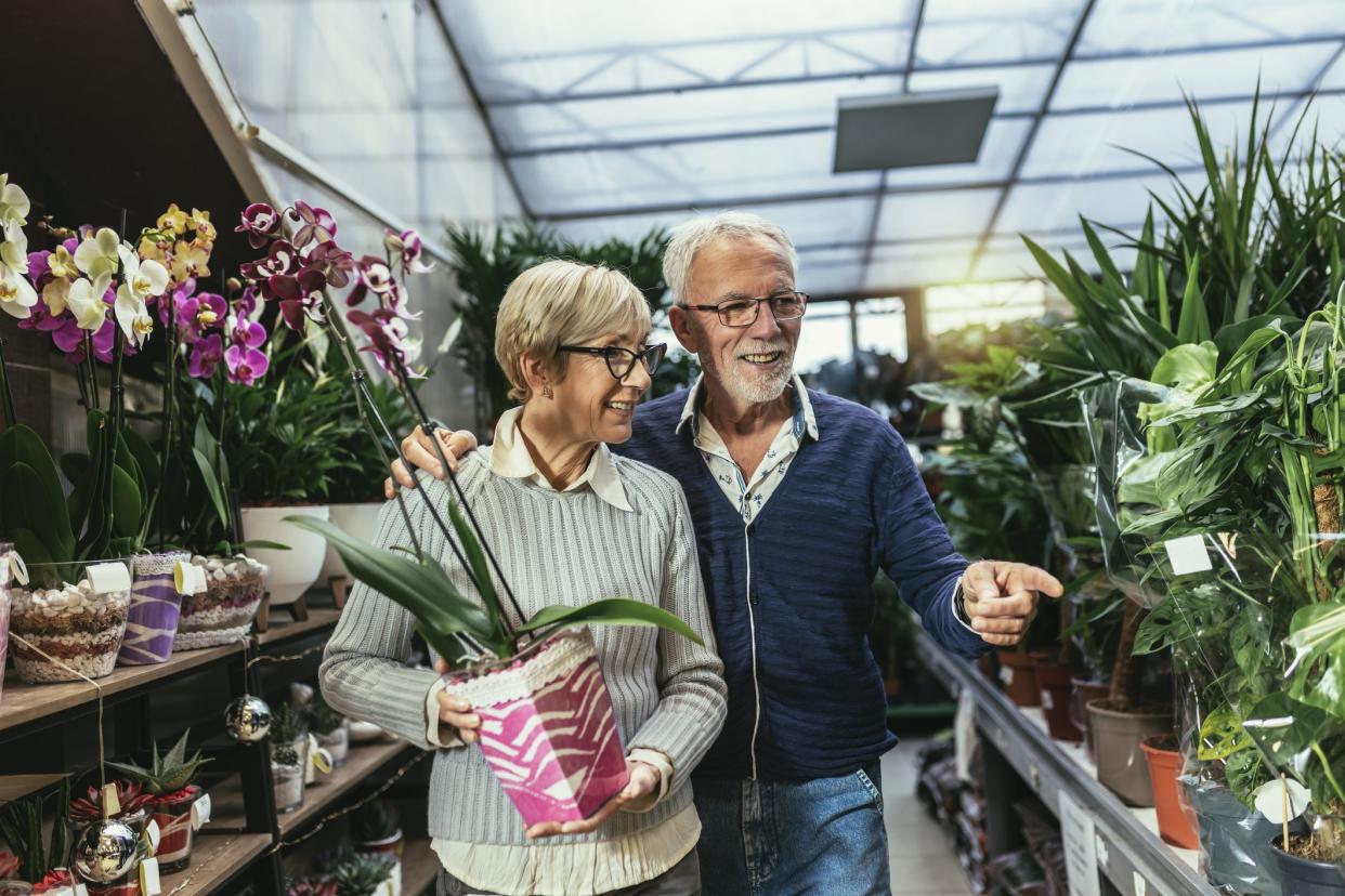 Senior couple are choosing potted plant at garden center.