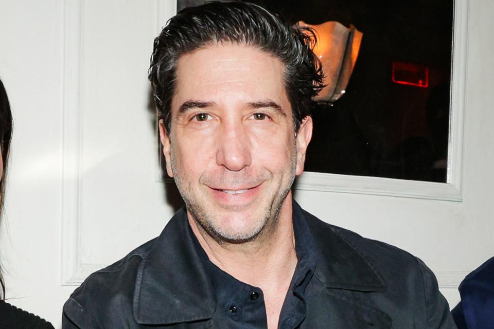 <p>BFA</p> David Schwimmer