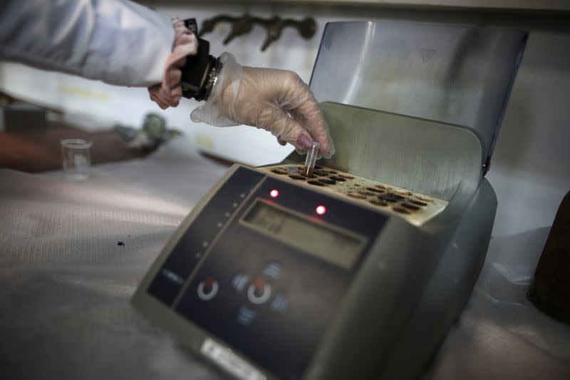 A chemist prepares to analyse a sewage sample at the chemistry lab of the National and Kapodistrian University of Athens